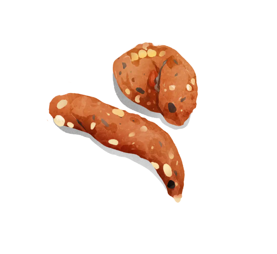 Steinmarder Losung Illustration