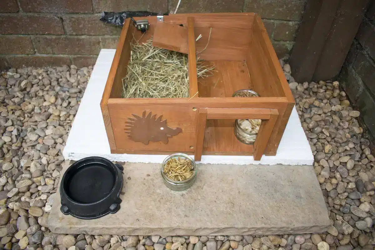 Igel Futterhaus - Wildtiere in Europa