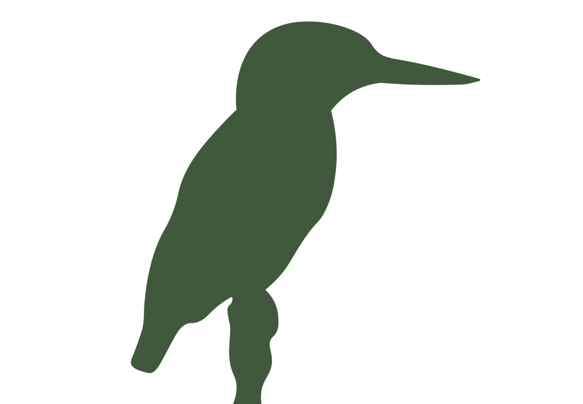 Eisvogel Silhouette sitzend - Vögel in Europa