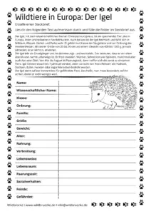 Arbeitsblatt Igel - Wildtiere in Europa