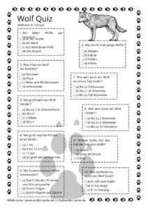 Arbeitsblatt Quiz Wolf Quiz - Wildtiere in Europa