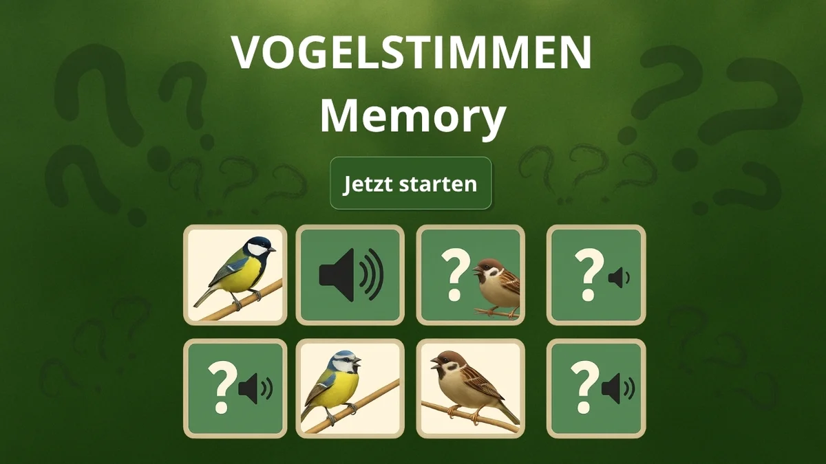 Beitragsbild Vogelstimmen-Memory Haussperling, Feldsperling, Blaumeise udn Kohlmeise - Vögel in Europa Beitragsbild Vogelstimmen-Memory Haussperling, Feldsperling, Blaumeise udn Kohlmeise - Vögel in Europa