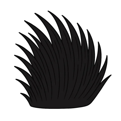 Schwarz