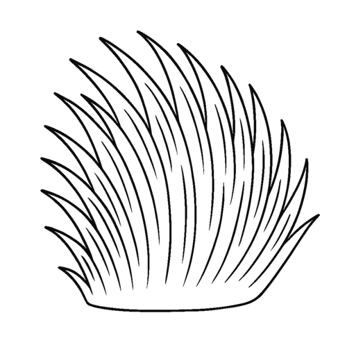 Weiß