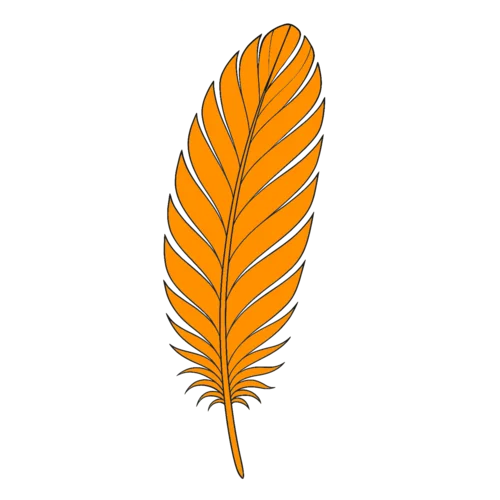 Orange Orange