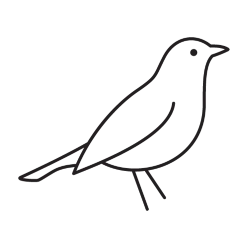 Wie eine Amsel Wie eine Amsel