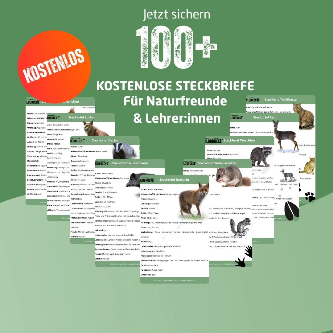 Kostenlose Steckbriefe