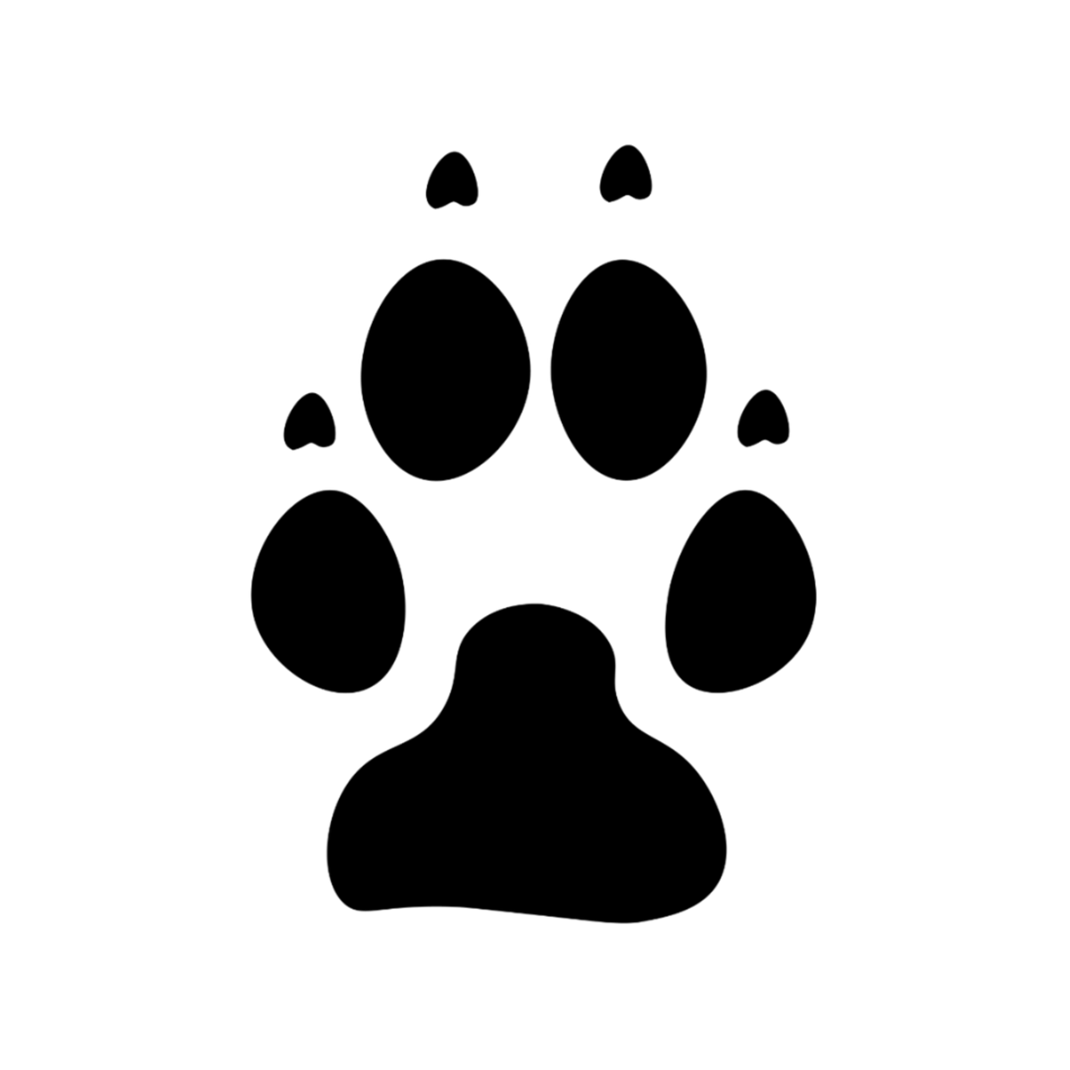 Pfote mit Krallen