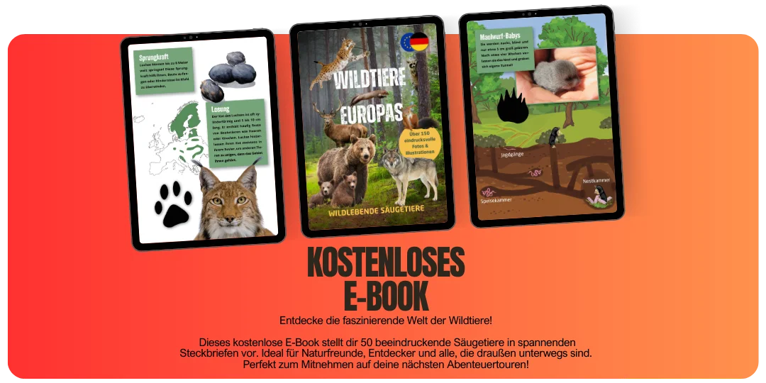 E-Book Wildtiere Europas