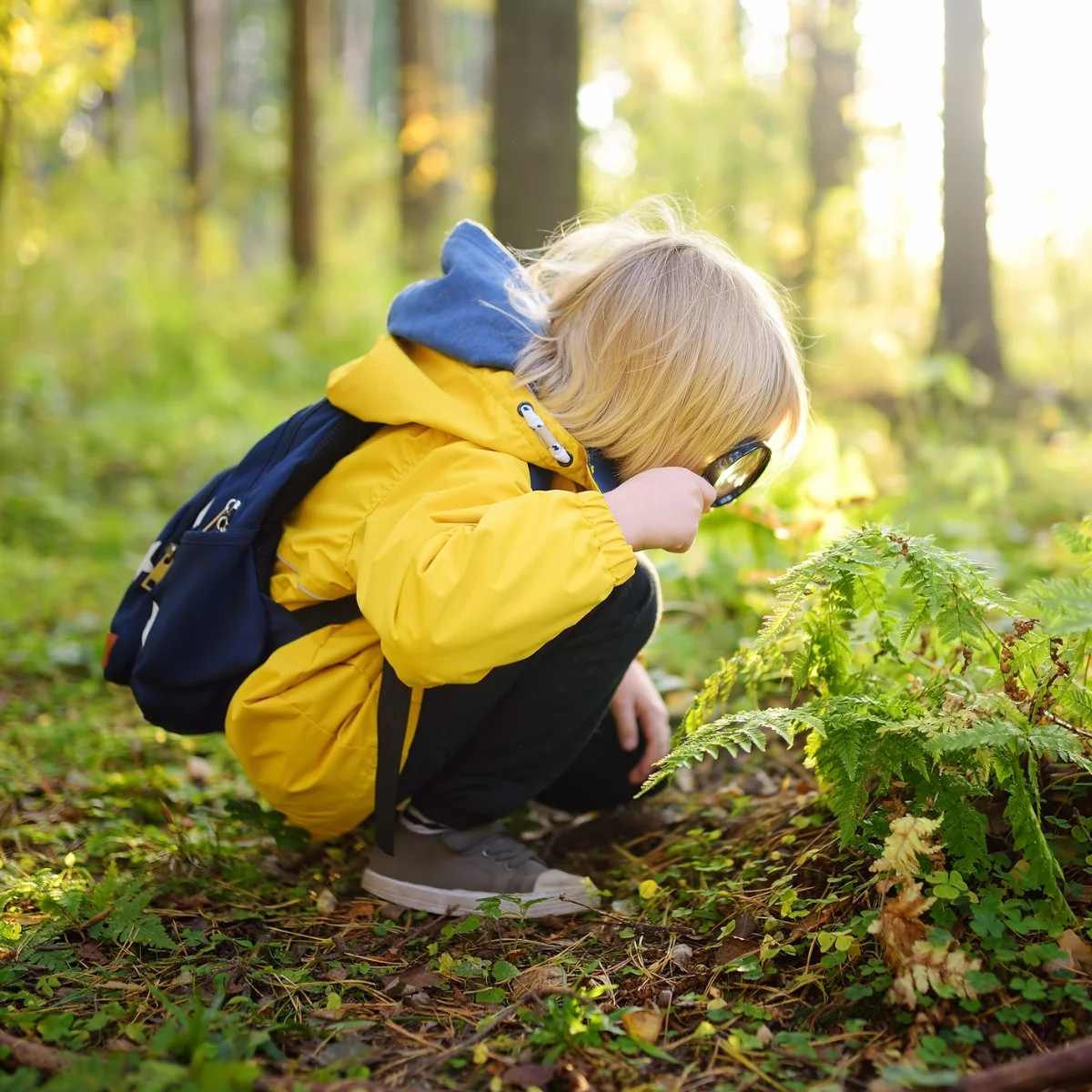 Schulkind Junge mit Lupe im Wald